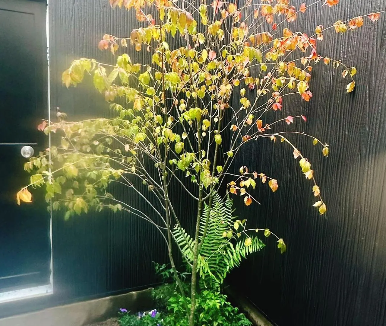 Prázdninový dům Vila Retreat Tachibana 旅趣・橘 Ósaka
